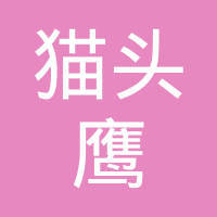 探秘貓頭鷹網絡科技 優勢、業務與市場評價